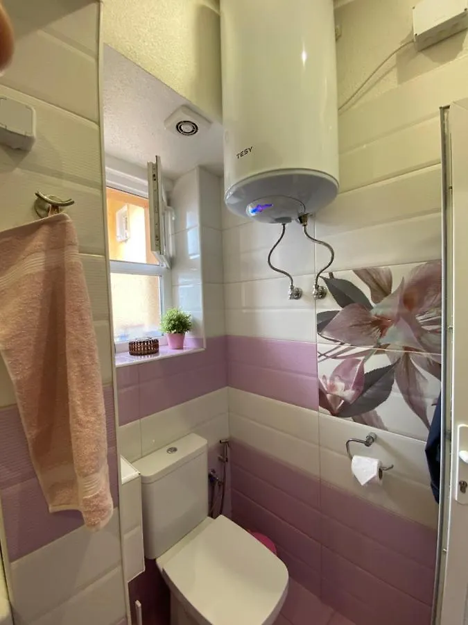 Cozy Apartment In Downtown Sofia - Tsar Samuil Street Bulharsko